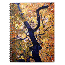 Caderno Espiral Folhas laranja e amarela