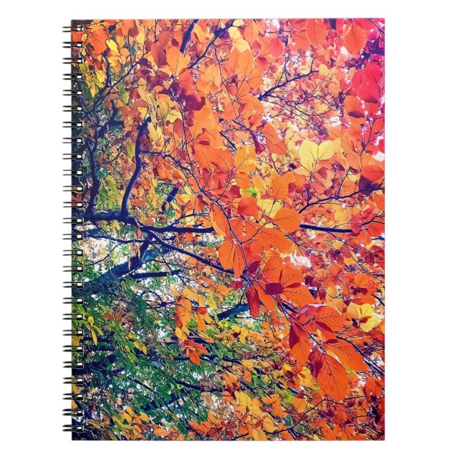 Caderno Espiral Folhas laranja e verde (Frente)