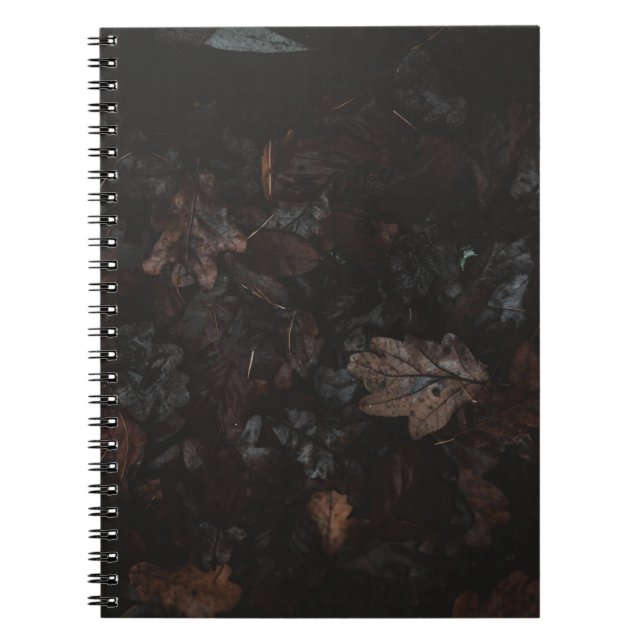 Caderno Espiral Folhas secas (Frente)
