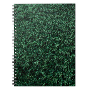 Caderno Espiral Folhas verdes