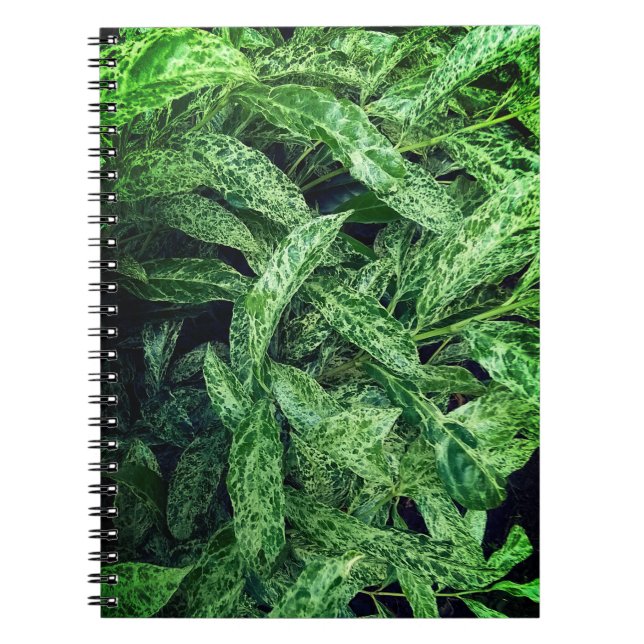 Caderno Espiral Folhas verdes (Frente)