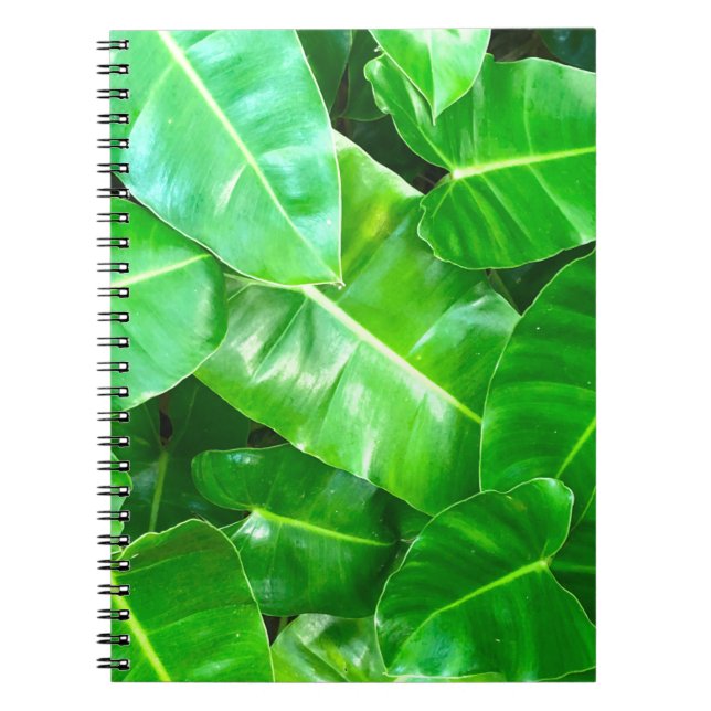 Caderno Espiral Folhas verdes Palm Folha Floresta tropical (Frente)