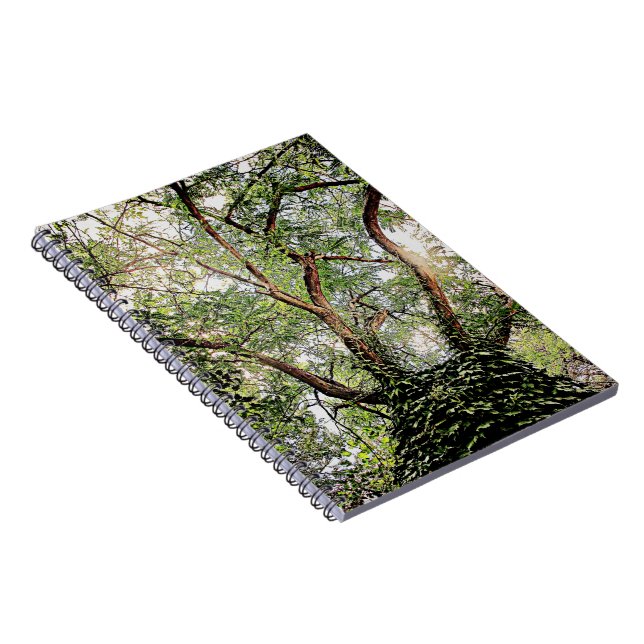 Caderno Espiral folhas verdes por toda a parte (Lado Direito)