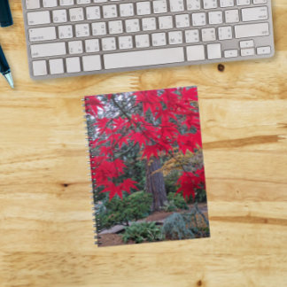 Caderno Espiral Folhas Vermelhas de Bordo em um Jardim Japonês