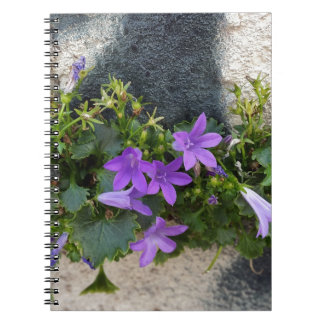 Caderno Espiral fora da flor de parede