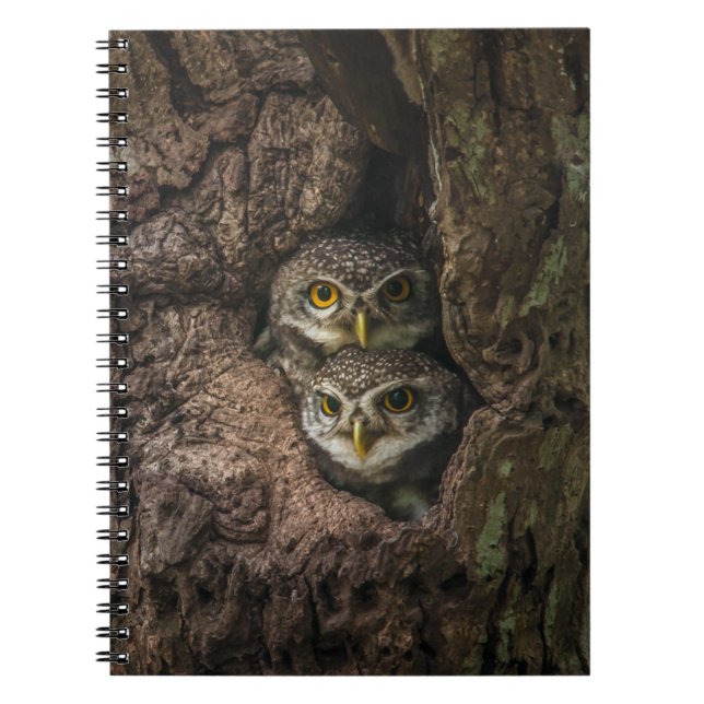 Caderno Espiral Forests | Two Owls Looking (Frente)