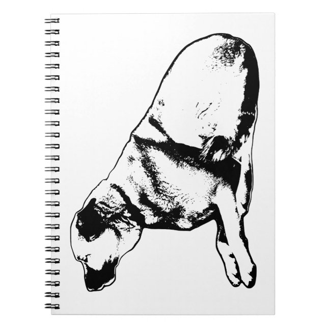Caderno Espiral Forma Leal Equilíbrio (Frente)
