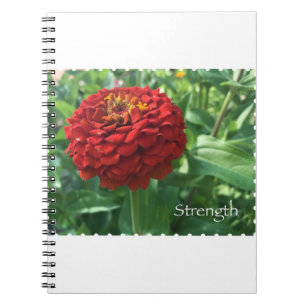 Caderno Espiral Forra de Força