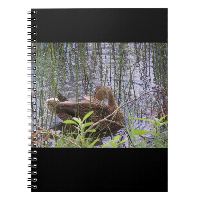 Caderno Espiral Foto aproximada de um pato (Frente)