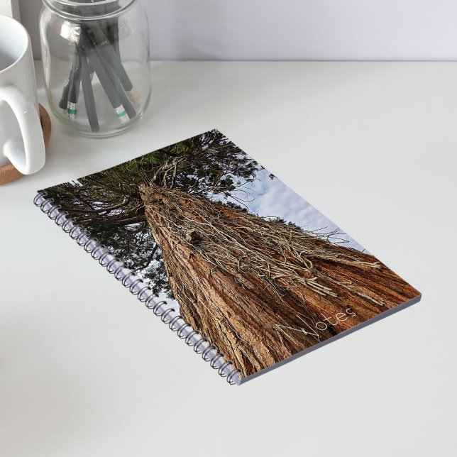 Caderno Espiral Foto da Árvore Giant Sequoia (In Situ)