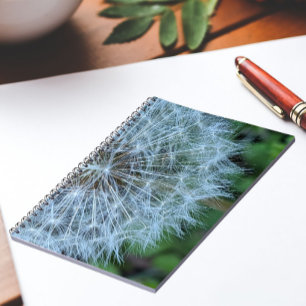 Caderno Espiral Foto da Cabeça da Semente de Dente-de-Leão Fofa