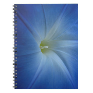 Caderno Espiral Foto da Flor Glória da Manhã Azul Celestial