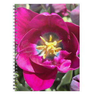 Caderno Espiral Foto da Flor Nova Inglaterra