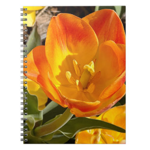 Caderno Espiral Foto da Flor Nova Inglaterra