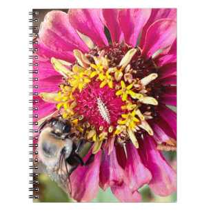 Caderno Espiral Foto da Flor Nova Inglaterra