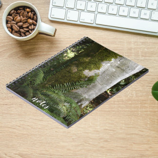 Caderno Espiral Foto da Natureza da Árvore Coberta por Ferns e Mos