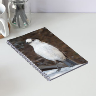 Caderno Espiral Foto da Natureza de Whiskey Jack Fofa
