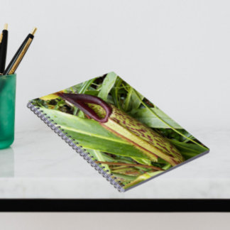 Caderno Espiral Foto da Planta de Pitcher Carnívora