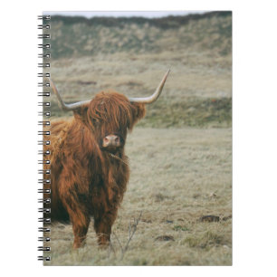 CADERNO ESPIRAL FOTO DA VINTAGEM DE BOVINOS DE ALTA TERRA