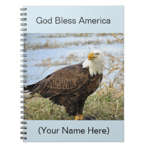 Caderno Espiral Foto de Águia Balda Americana em um Diário 8x10