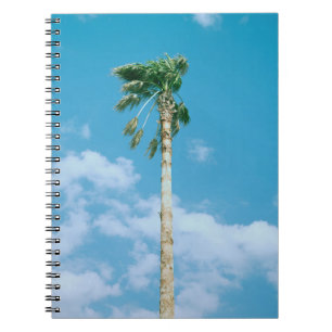 Caderno Espiral Foto de baixo ângulo de palmeiras sob o céu azul