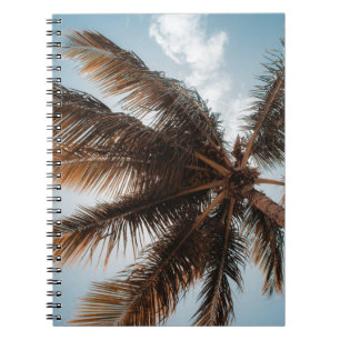 Caderno Espiral Foto de baixo ângulo do coco