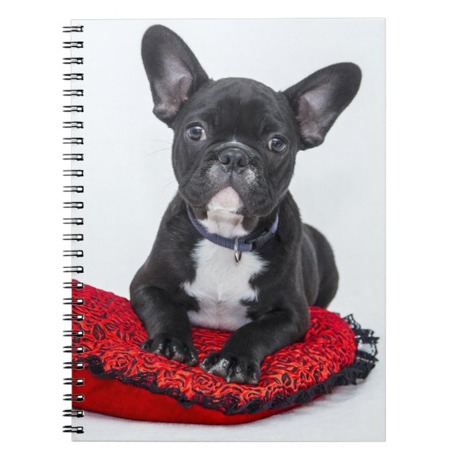 Caderno Espiral Foto de cópia para cachorro preto e branco adoráve (Frente)