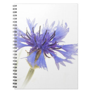 Caderno Espiral Foto de Cornflower Azul -