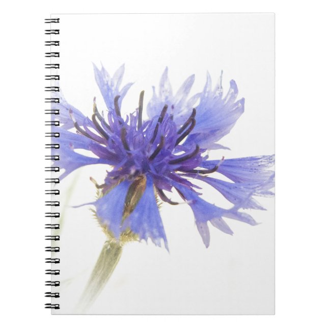 Caderno Espiral Foto de Cornflower Azul - (Frente)