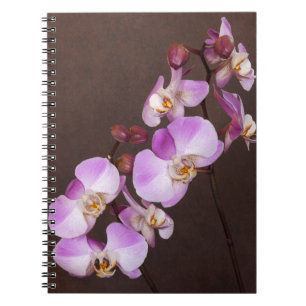 Caderno Espiral Foto de Fechamento Branco Violeta Diagonal do Orch