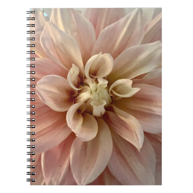 Caderno Espiral Foto de Flor da Nova Inglaterra (Frente)