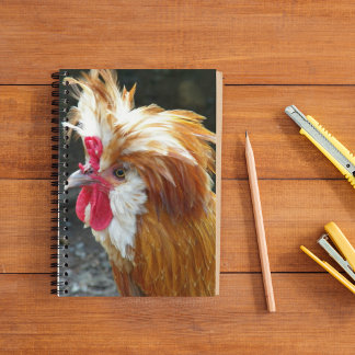 Caderno Espiral Foto de frango polonês vermelho