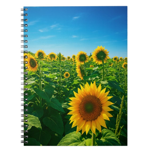 Caderno Espiral Foto de girassol vibrante (Frente)