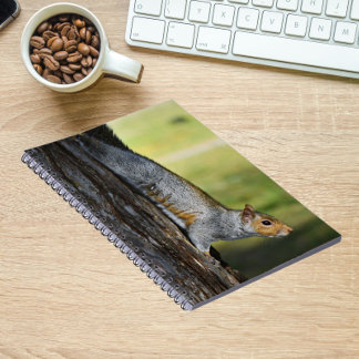 Caderno Espiral Foto de Natureza do Esquilo de Cinza Oriental