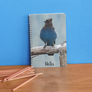 Caderno Espiral Foto de Pássaro Jay Steller