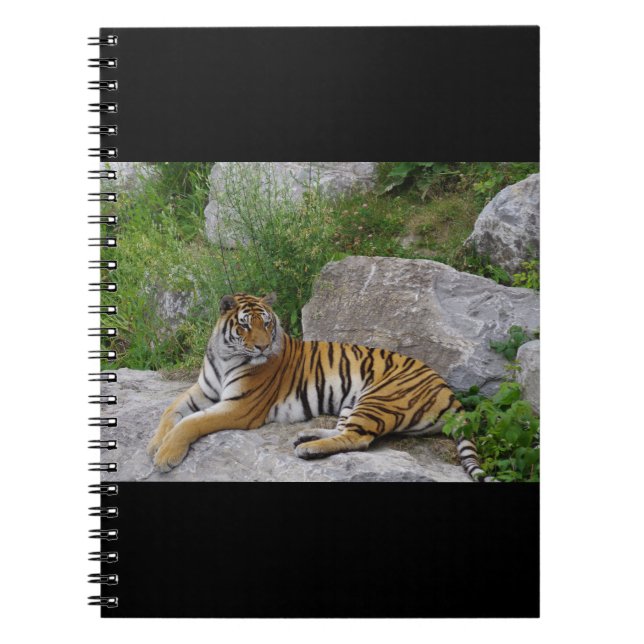 Caderno Espiral Foto de retrato de um tigre siberiano (Frente)