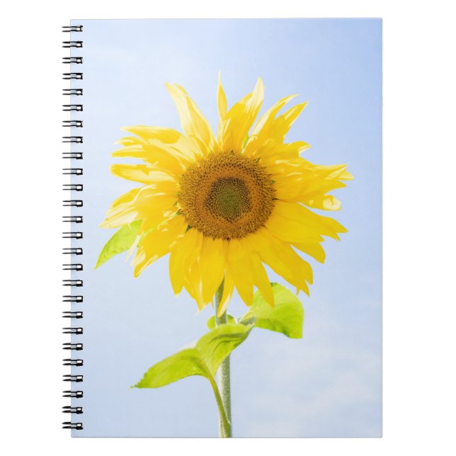 Caderno Espiral Foto de Sunflower Nature (Frente)