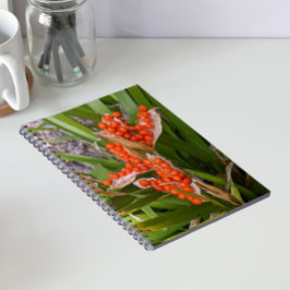Caderno Espiral Foto de Vagens de Sementes de Íris Fedorenta Laran