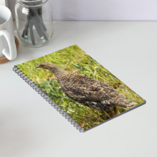 Caderno Espiral Foto de Vida Selvagem de Galo-da-serra-fuliginoso