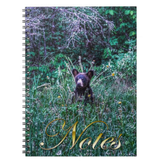 Caderno Espiral Foto de Wildlife Cub de Urso Negro Selvagem