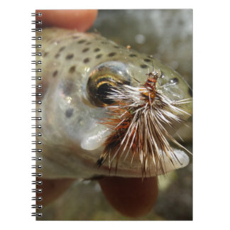 Caderno Espiral Foto do Rainbow Trout
