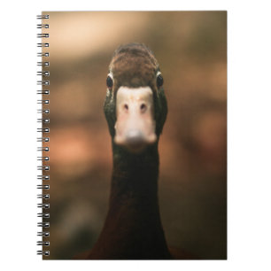 CADERNO ESPIRAL FOTO DO ROSTO DE DUCK
