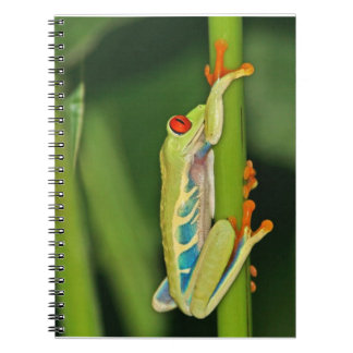 Caderno Espiral Foto do sapo de árvore