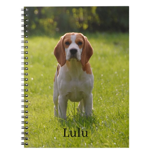 Caderno Espiral Foto e nome personalizados do cachorro Beagle (Frente)