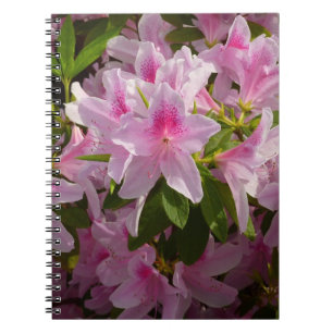 Caderno Espiral Foto floral do primavera cor-de-rosa de Bush da