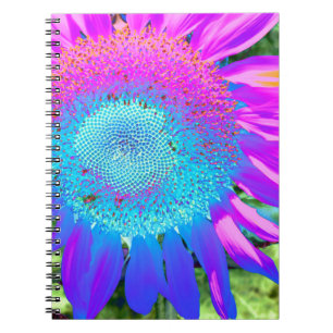 Caderno Espiral Foto girassol cor-de-rosa-azul retrógrada