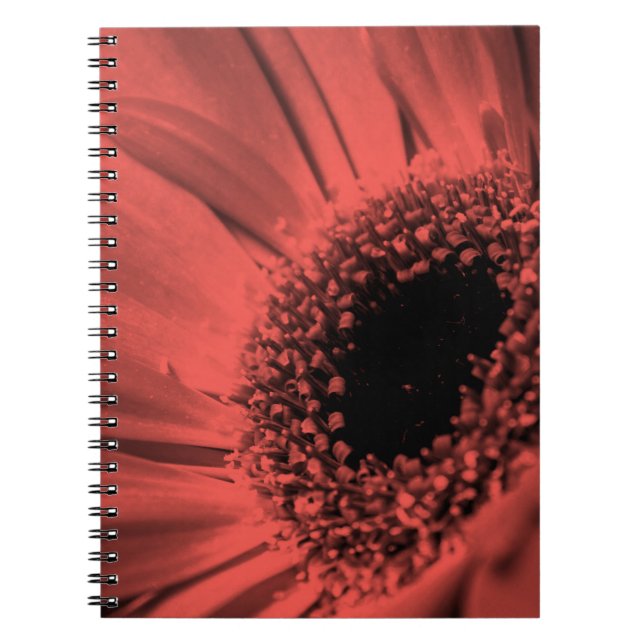 Caderno Espiral Foto, macro (Frente)