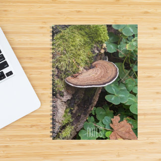 Caderno Espiral Foto Natureza do Fungo da Colchete
