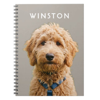 Caderno Espiral Foto Nome de Cachorros Personalizados - LEIA A DES
