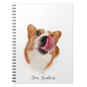 Caderno Espiral Foto personalizada/bonito do Corgi